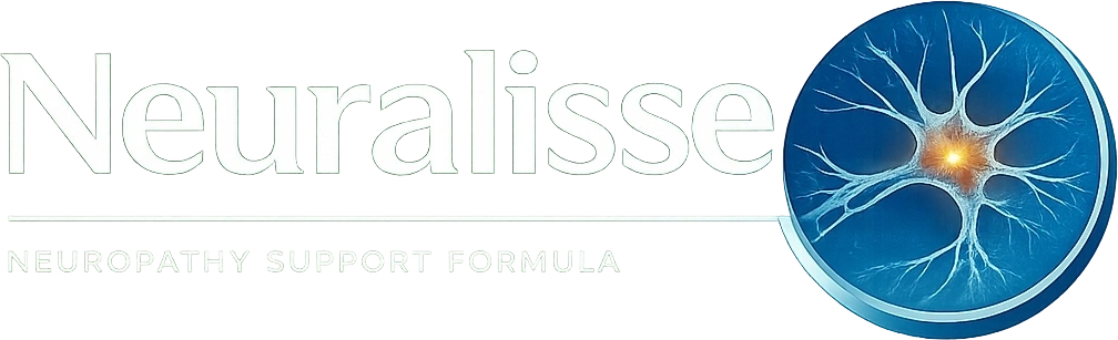 Neuralisse logo